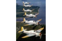 Warbirds