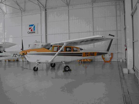 Cessna 206